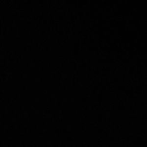 Meet your Posher, Tae